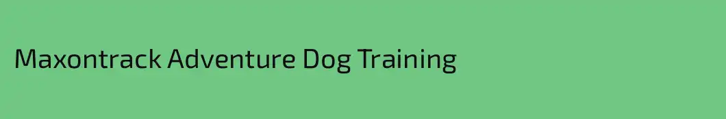Maxontrack Adventure Dog Training